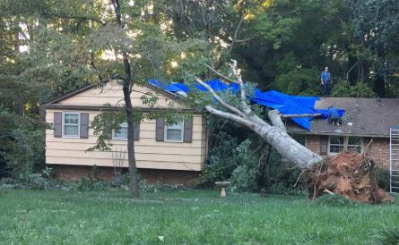 wind damage insurance claim in North Carolina